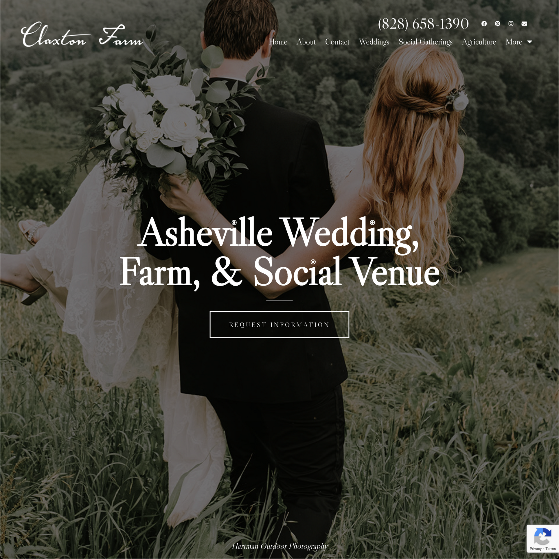 Web Design Web Design projects claxton farm White Fox Studios