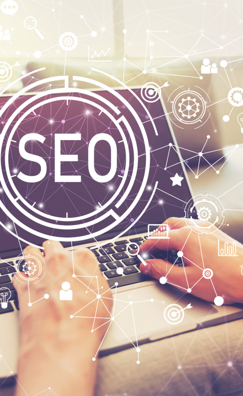 Tampa Seo