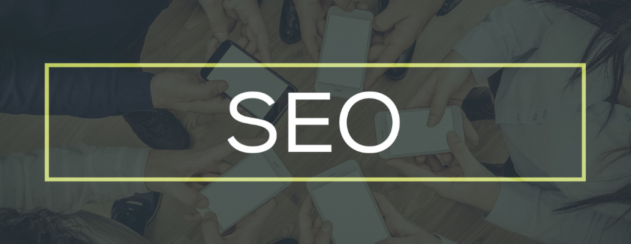 Tampa Seo