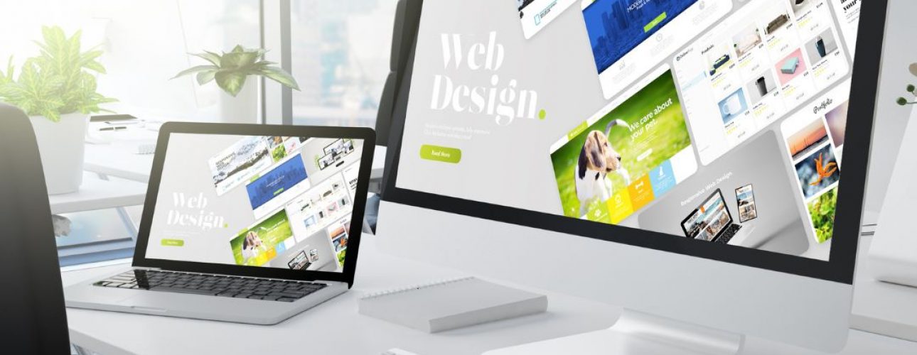 Tampa Web Design